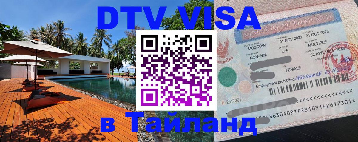 Оформление DTV визы под ключ: стоимость и тарифы, только загранпаспорт - Димитровград 